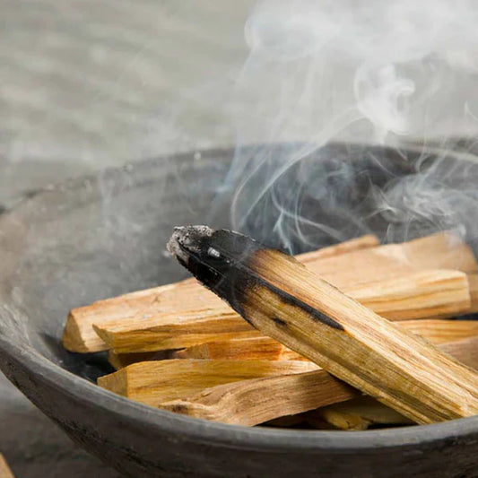 Palo Santo Sticks - Packs of 1, 3, 5, 10 - Sustainably Harvested -- by Moon Water Apothecary!