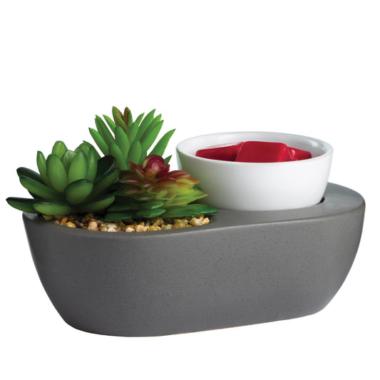 Succulent ArtScents wax warmer with grey base, white dish and decorative plants