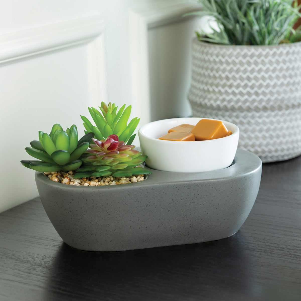 Succulent ArtScents wax warmer displayed on a side table