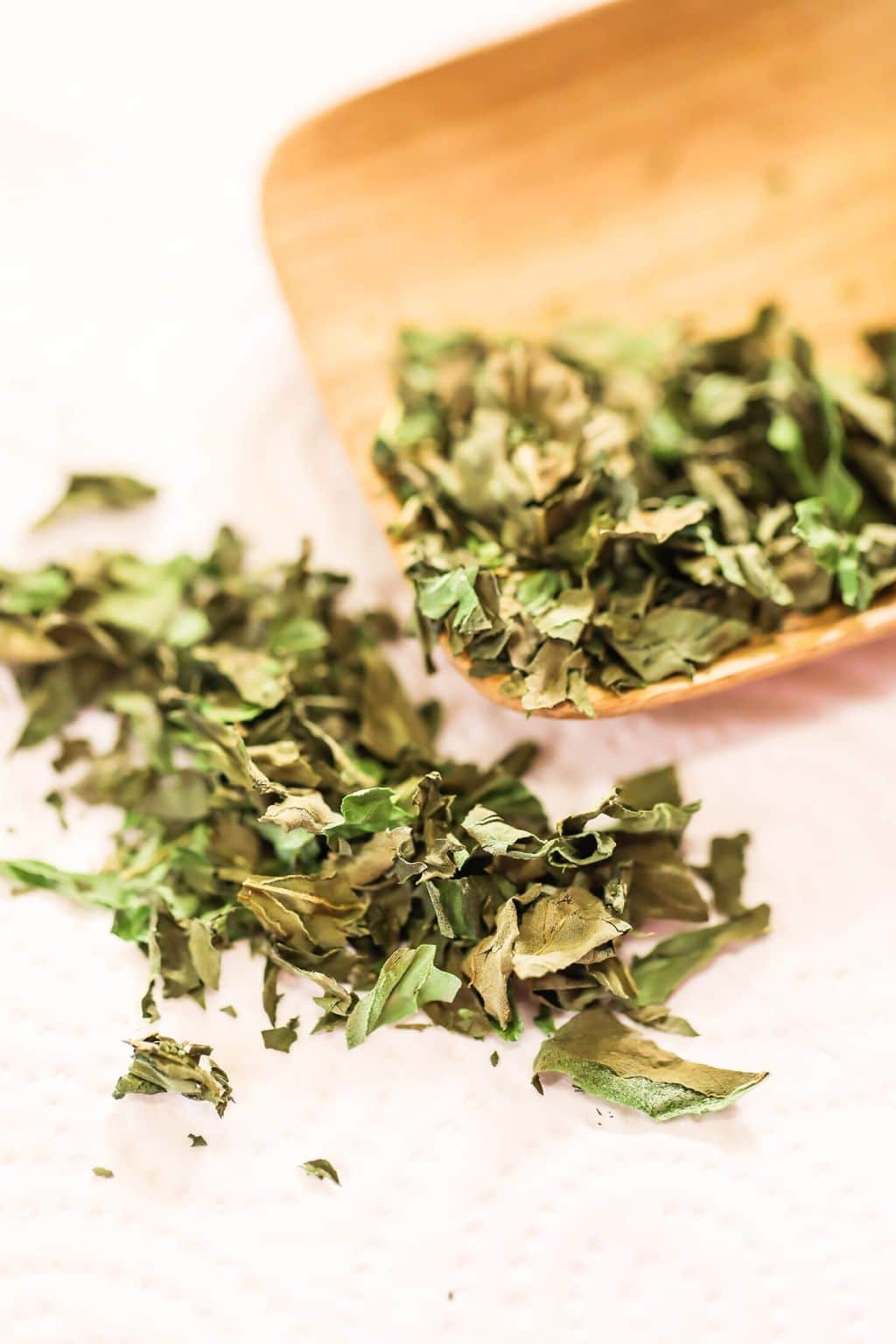 Spices & Herbs – For Ritual and Spell Work -- by Moon Water Apothecary!