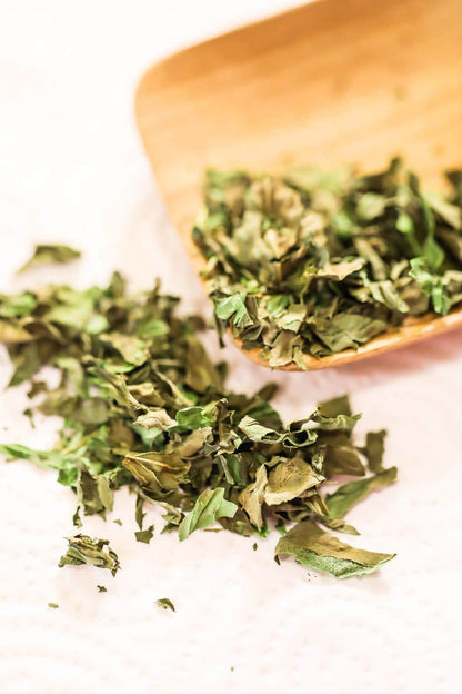 Spices & Herbs – For Ritual and Spell Work -- by Moon Water Apothecary!